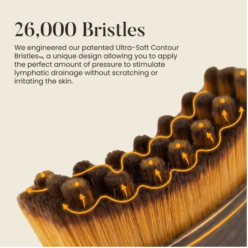 Lymphatic Contour Face Brush- Ergonomic Facial Drainage Massager